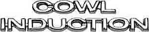 1969 Cowl Induction Hood Emblem PAIR