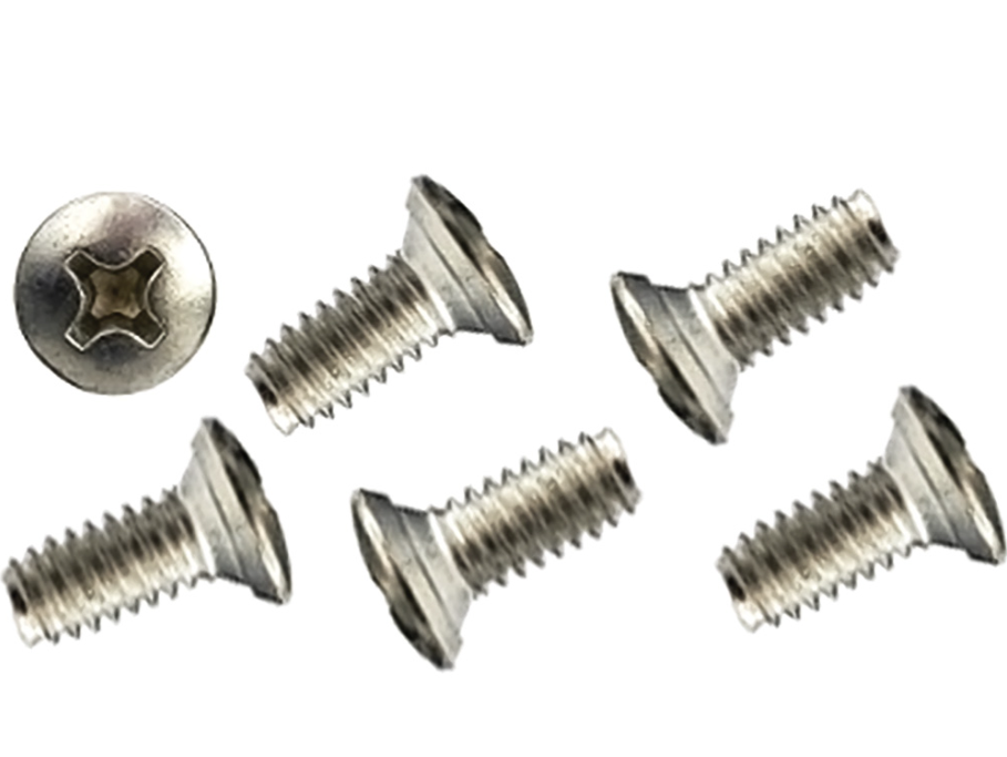 1947-1959 Chevy Truck Door Latch screws set of 6