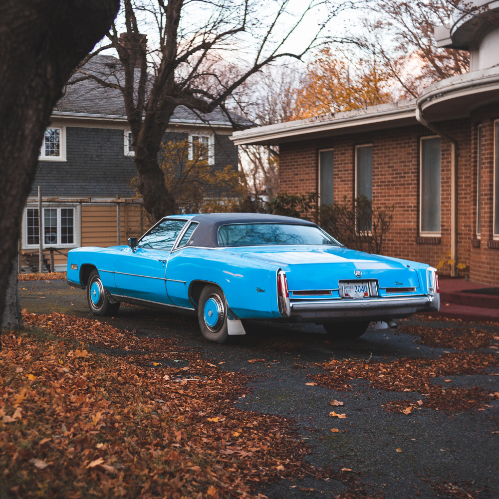 Camaro -> Weather Strip