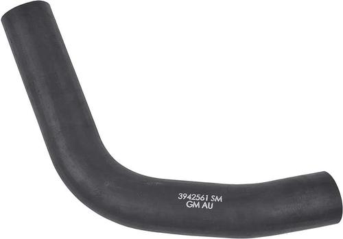 1969 Camaro; Lower Radiator Hose; Small Block